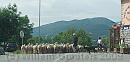 04-Sheep1 * A shepard leading sheep through the village named Le Sauze di Lac * 2380 x 1148 * (225KB)