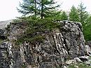 09-PlantsOnRock * Weathered rocks, covered with shrubs. * 3072 x 2304 * (1.53MB)
