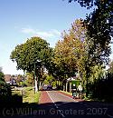 38-Hamersveldseweg * The entrance of leusden from the South: The HAmersveldseweg laned by oak trees in autumn colours. * 1242 x 1290 * (333KB)