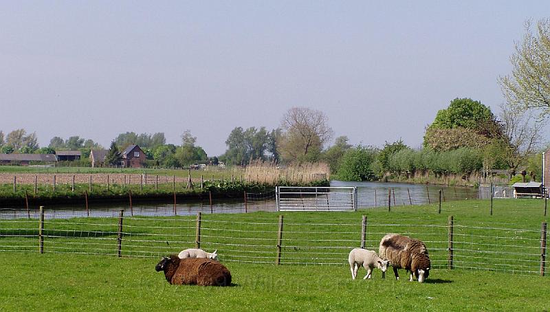 15-Laagland.jpg - Low lands along the Hollandsche IJssel.