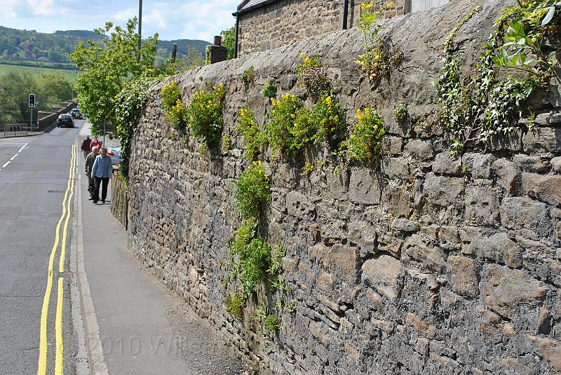 32-StoneWall.jpg - Back to the bridge, a wall marks the boundary of private property