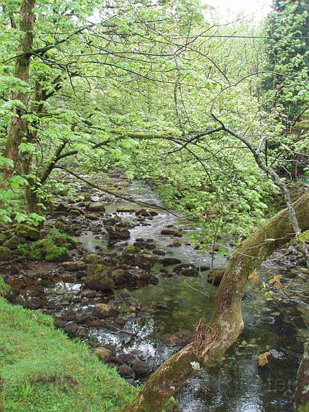 20-TheRiver.jpg - The river near Chapel Stile, from the bridge behind the inn.