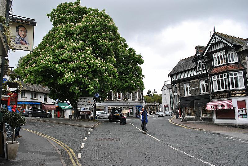 26-Center.jpg - Big chestnut tree in the center of town
