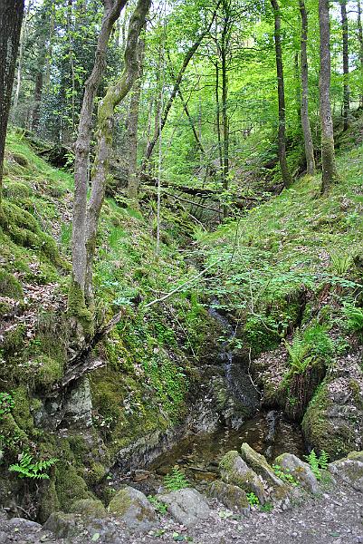 63-Stream.jpg - A small stream along the woodland over Ambleside