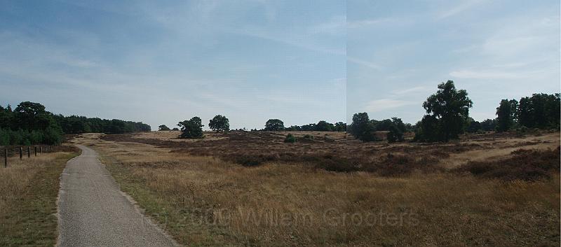 07-Heather.jpg - This is what the area would have looked like - think the tarmac cyclepath being sandy.
