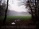 01-Mist * Misty morning * 1984 x 1488 * (467KB)