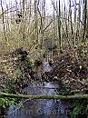 13-Beek * Small water - one of the small streams in the valley * 1488 x 1984 * (792KB)