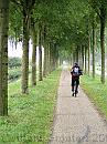 01-Essenlaan * A lane of ash-trees - still very green. * 1488 x 1984 * (504KB)