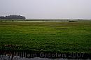 07-Veenplas * Low lands - meaning a pond between the fields. * 1947 x 1293 * (225KB)