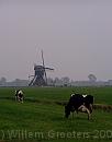 37-Molen * A 250-year old mill - still working (but not today) * 1398 x 1773 * (131KB)
