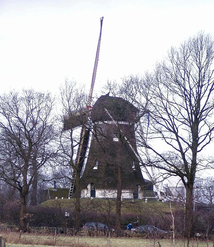 11-DeDuif.jpg - The grain mill called De Duif, marking start and finish. Part of the cost of this walk was dedicated for the maintenance and restoration of this mill.