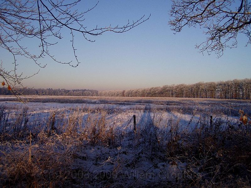 01-Winterland.jpg - Looking over the meadows