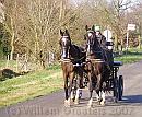 01-Cart1 * Horses getting their exercise * 1574 x 1300 * (391KB)
