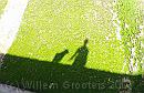 13-ShadowOnTheRoof * Rita and Franka - shades on a roof * 1980 x 1284 * (511KB)