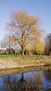 17-Graveyard-Tree * A willow tree near a cemetry. * 1101 x 1945 * (344KB)
