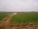 34-Polder * Vie from the dyke into the polder * 1984 x 1488 * (294KB)
