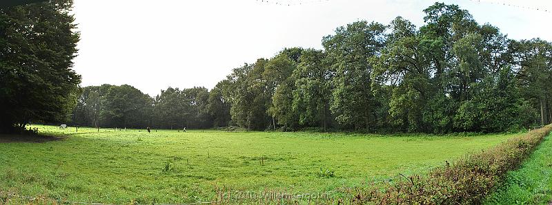 01-Outside.jpg - Woodland and meadows exchange