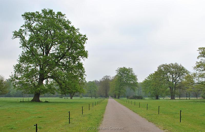 08-Driveway.jpg - The road straight from the castle leads over the estate