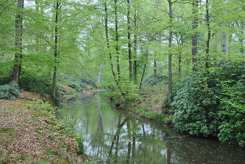 12_BeechForest.jpg - Beech trees along a canal in early leaves - light green