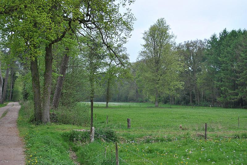 28-Enclave.jpg - A meadow - grass field enclosed by woods