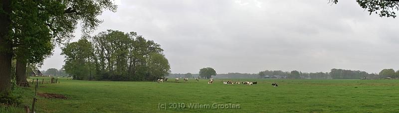 36-Cattle.jpg - Cattle and woodland patches