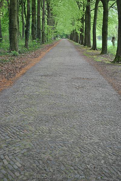 71-Paverment.jpg - The road on the Weldam estate has elaborate pavement - strong enough for carriages