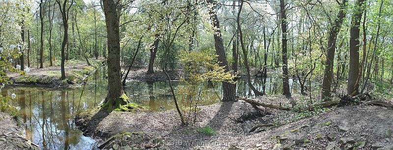 22-Pond.jpg - A pond in the middle of the woods