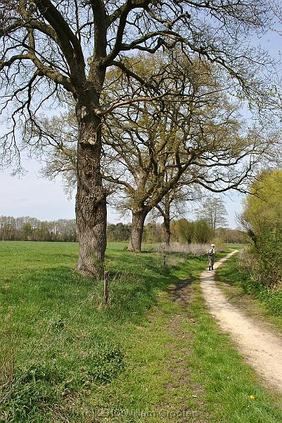 45-KerkeveldVoetpad.jpg - The path between Beckum and Delden- used in former days by people to visit the church of their choice