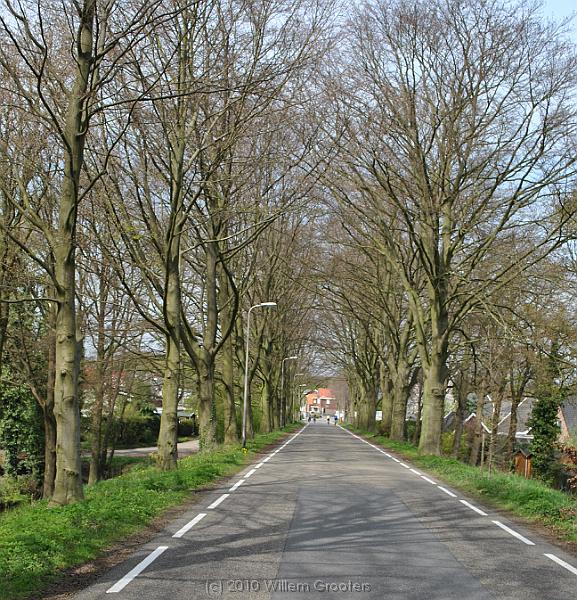 59-DeldenEntrance.jpg - The entry to Delden - trees aside the road to or from - the bridge