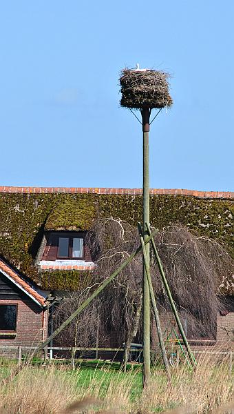 43-StorksNest.jpg - Storck's nest on the pole, raining the nest high over the ground.