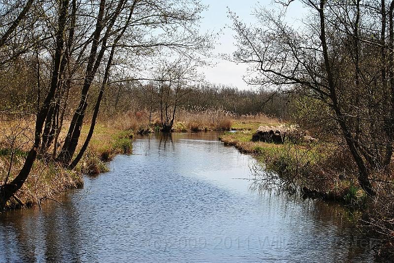 49-CanalIntoTheBog.jpg - Low shoulders along the canal into the bog