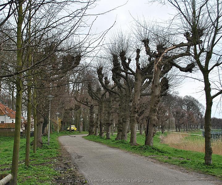 12-LimeAve.jpg - The boundary of the estate: avenue of lime trees