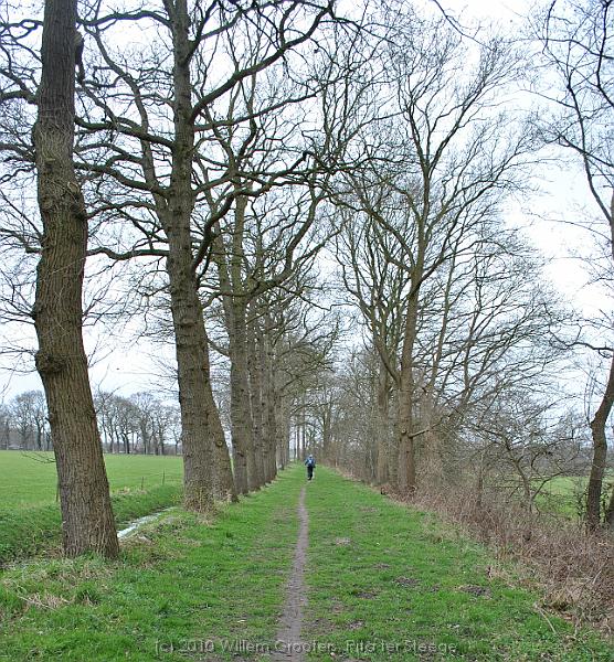 19-Boundary.jpg - The lane to the Oldenhof estate - probably an old church path - or the estate boundary, marked with oak