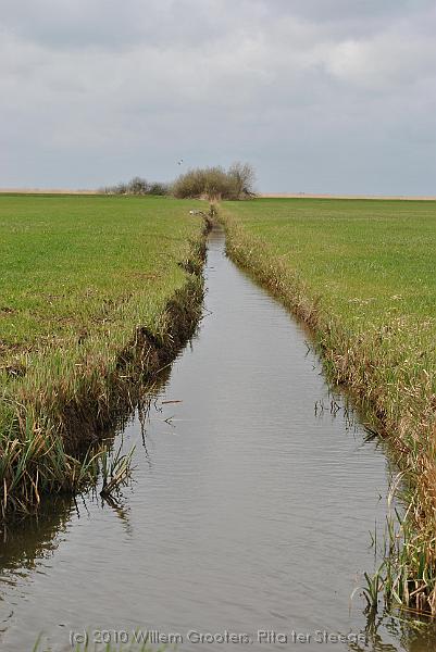 32-Dam.jpg - Canal leading straight into Willow bushes.