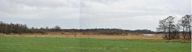42-Wieden.jpg - Viwe over the Wieden: reed, willow bushes and water