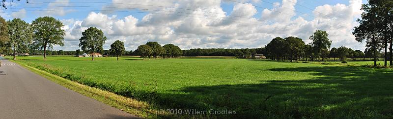 05-LineOfTrees.jpg - A line of trees marking a ditch between to meadows.