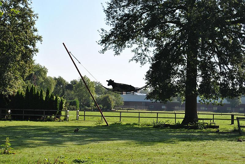 02-LazyCow.jpg - Ever seen a cow in a hammock? just North of Nijverdal, there is one....