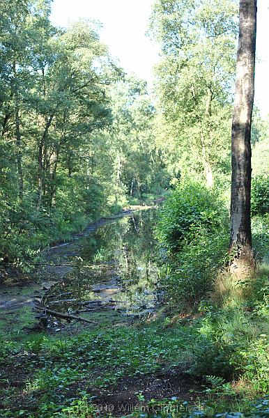 04-Bog.jpg - Remainder of an old Regge meander - there is a sign sting these are " dangerous waters" ...
