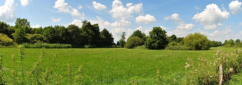 47-Meadows.jpg - These grounds are used as haylands - no cattle is to be found on these wet soilds.