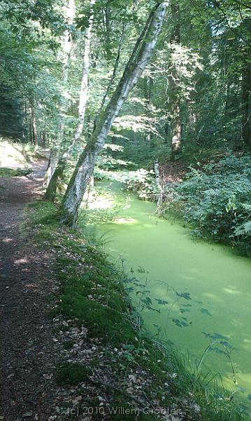 91-OnHetLaer.jpg - Up to the Laer estate, deep in it's parkland, we crossed this green ditch.