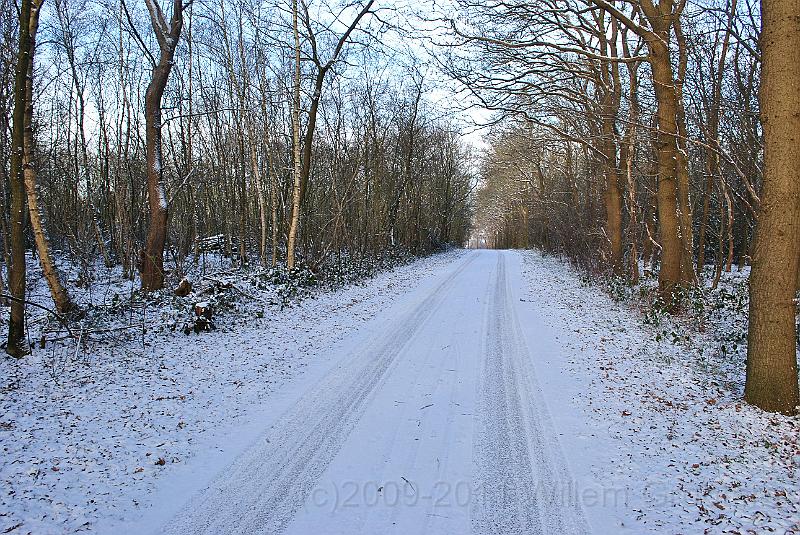 07-ForestRoad.jpg - Forest road. slightly uphill.