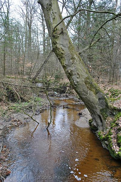 26-Stream.jpg - Stream in the woods - brown with ore