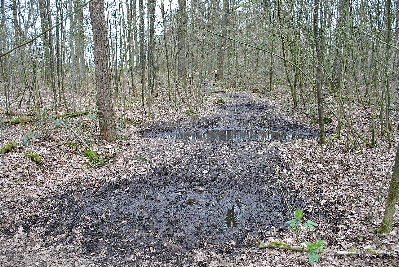 31-Mud.jpg - The area is covered with inpenetrable sheets of soil below the surface - and so ye get patches of mud on your route