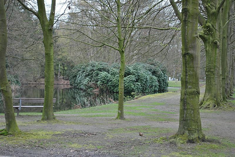 50-CampusPark.jpg - Later, we passed onto the campus of the Technical University Twente - surrounded by parkland: rhododendrons on islands in ponds