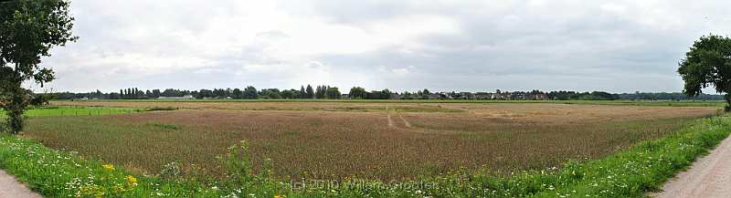 15-Wheat.jpg - An acre of wheat, just outside the town, ready to be harvested.
