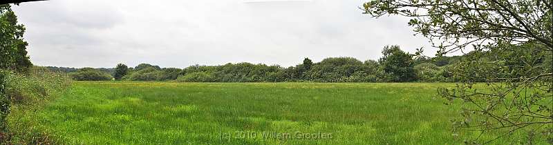 26-Haylands.jpg - Wet meadows on the other side.