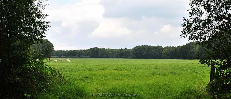 47-Meadow.jpg - A window into the meadows aside the line of dunes.