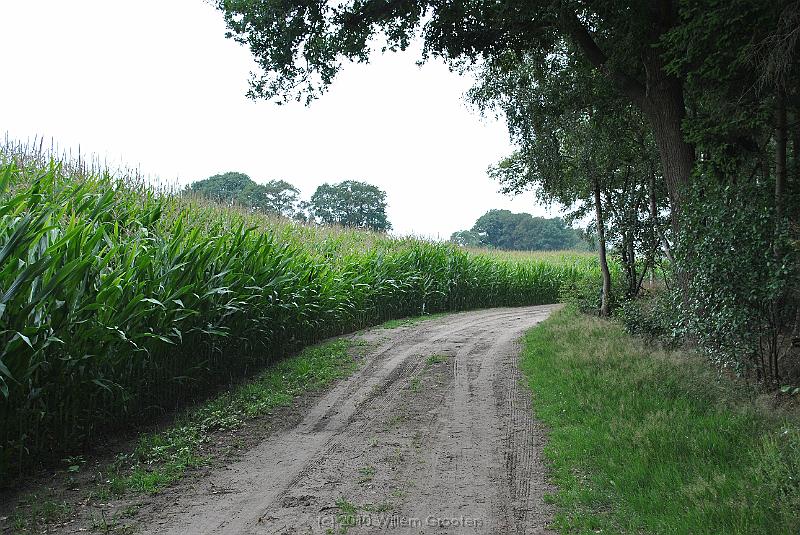19-Corner.jpg - A bend in the road, squeezed between woods and cornfield.
