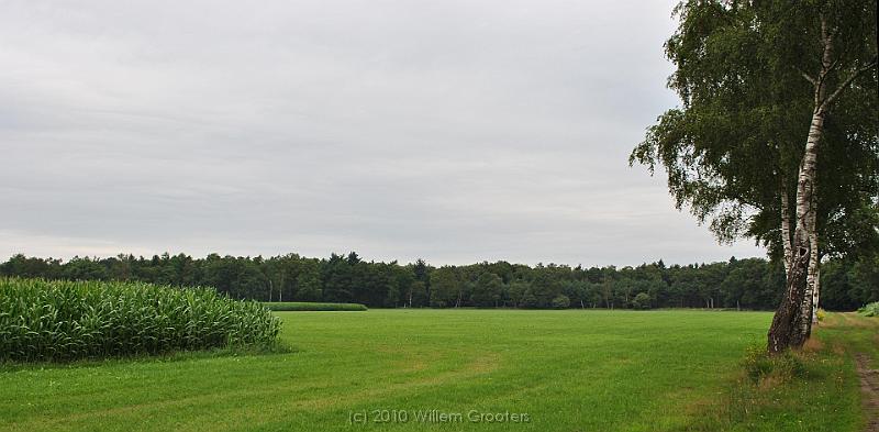 22-Fields.jpg - Two cornfields behind eachother, divided by grassland