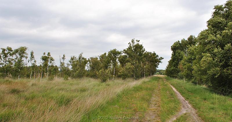 29-Notteveen.jpg - Path through the Notteveen area - grasses moors with patched of trees...